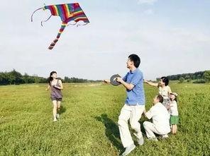 娱乐吃瓜酱风筝,揭秘娱乐圈背后的那些事儿